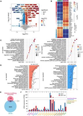 Integrated Chromatin Accessibility and Transcriptome Landscapes of Doxorubicin-Resistant Breast Cancer Cells